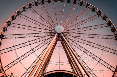 screen free family activities