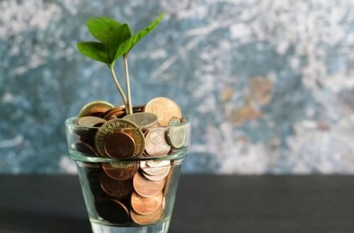 Budgeting for Bliss: How to See the World Without Breaking the Bank