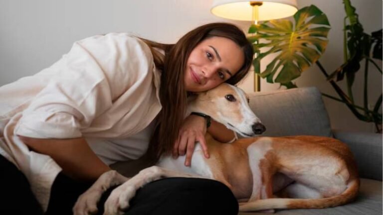 5 Reasons Red Light Therapy Is a Popular Anti Inflammatory for Dogs